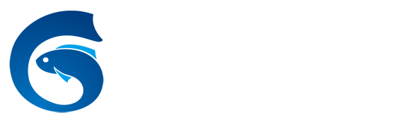 鲸鱼直播
